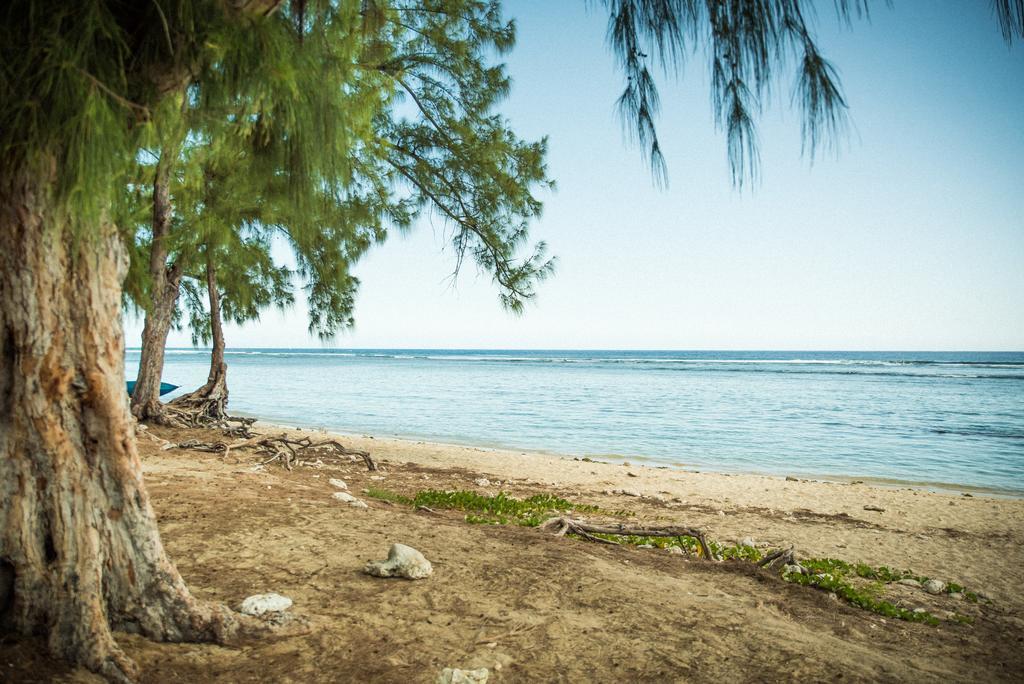 Appartement Le Blue Baie Saint-Paul Εξωτερικό φωτογραφία